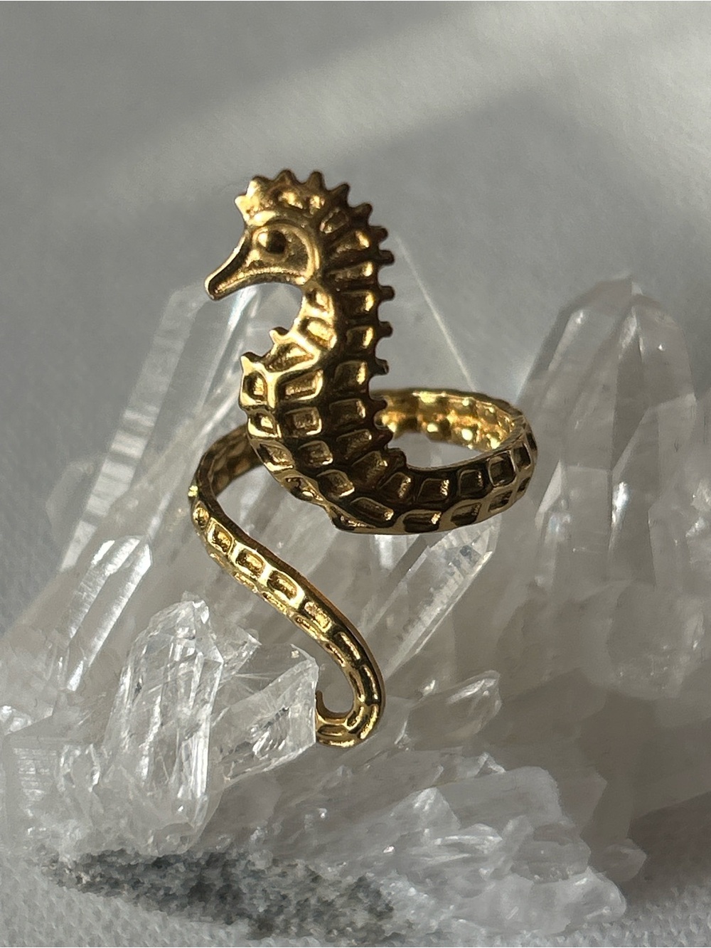 Gold stainless steel seahorse ring with textured scales adjustable